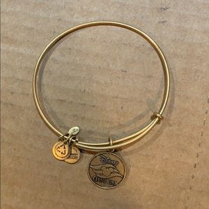 Disney Cruise Line Alex n Ani